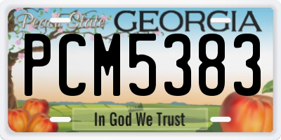 GA license plate PCM5383