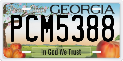 GA license plate PCM5388