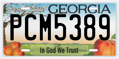 GA license plate PCM5389