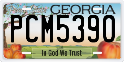 GA license plate PCM5390