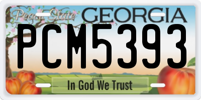 GA license plate PCM5393