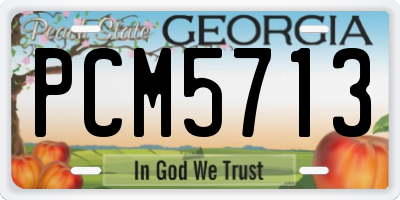 GA license plate PCM5713