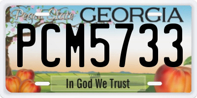 GA license plate PCM5733