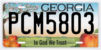 GA license plate PCM5803