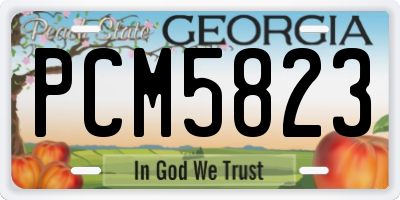 GA license plate PCM5823