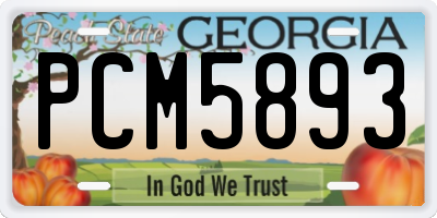 GA license plate PCM5893