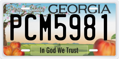 GA license plate PCM5981