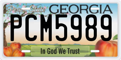 GA license plate PCM5989