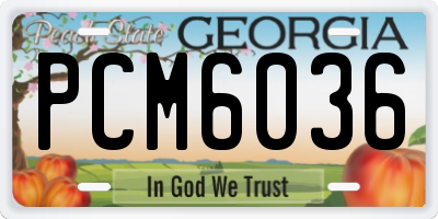GA license plate PCM6036