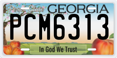 GA license plate PCM6313