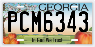 GA license plate PCM6343