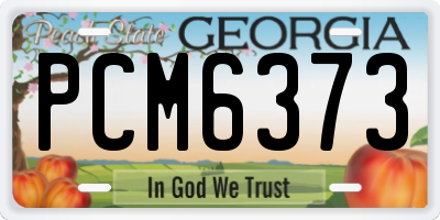 GA license plate PCM6373