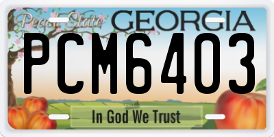 GA license plate PCM6403