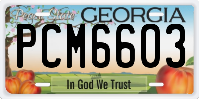 GA license plate PCM6603