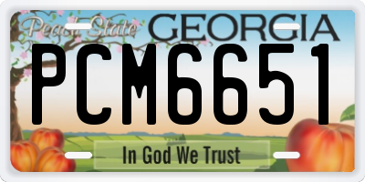 GA license plate PCM6651