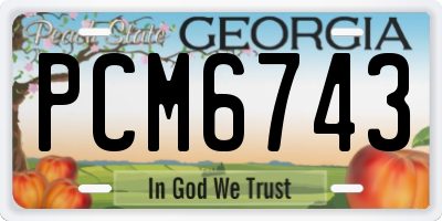GA license plate PCM6743