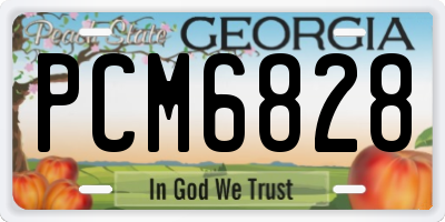 GA license plate PCM6828