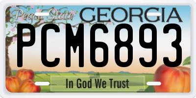 GA license plate PCM6893
