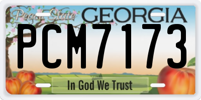 GA license plate PCM7173