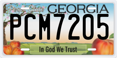 GA license plate PCM7205