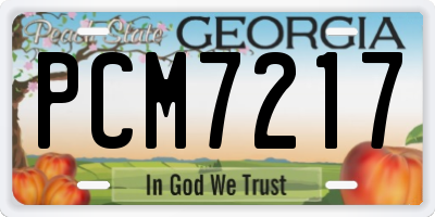 GA license plate PCM7217
