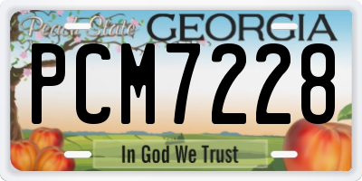 GA license plate PCM7228