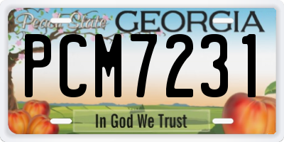 GA license plate PCM7231
