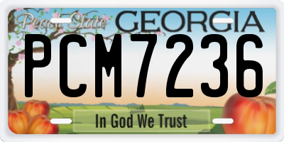 GA license plate PCM7236