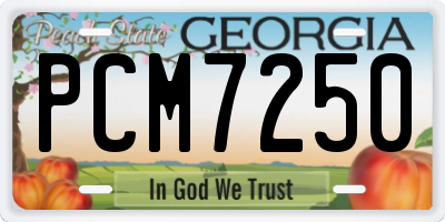 GA license plate PCM7250