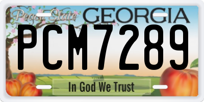GA license plate PCM7289