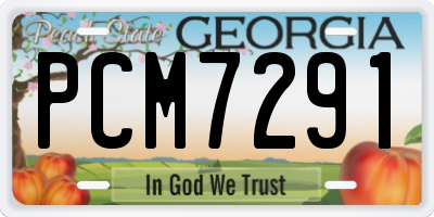 GA license plate PCM7291