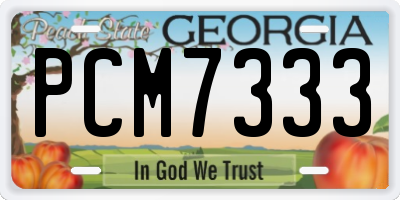 GA license plate PCM7333