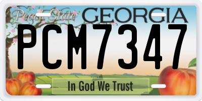 GA license plate PCM7347