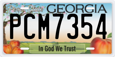 GA license plate PCM7354