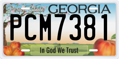 GA license plate PCM7381