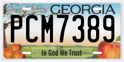 GA license plate PCM7389