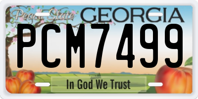 GA license plate PCM7499