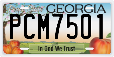 GA license plate PCM7501