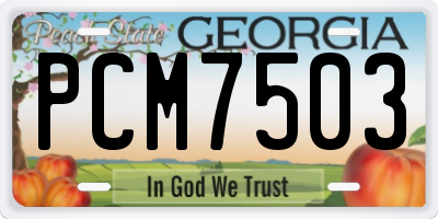 GA license plate PCM7503