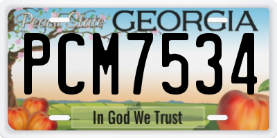 GA license plate PCM7534