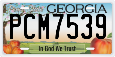 GA license plate PCM7539