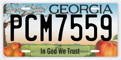 GA license plate PCM7559