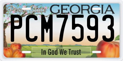 GA license plate PCM7593