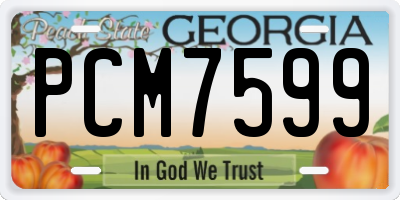 GA license plate PCM7599