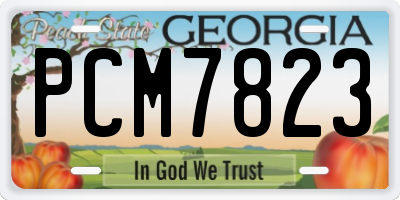 GA license plate PCM7823