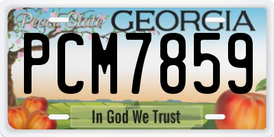 GA license plate PCM7859
