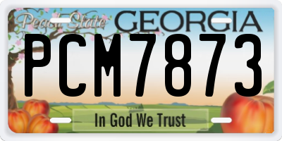 GA license plate PCM7873