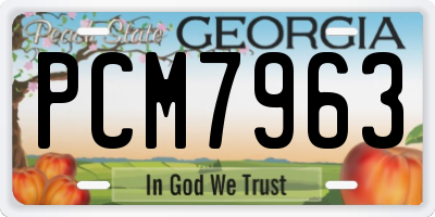 GA license plate PCM7963