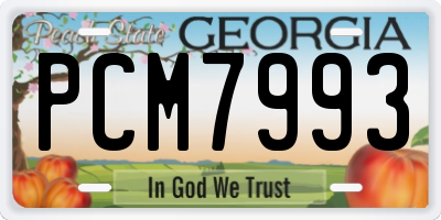 GA license plate PCM7993