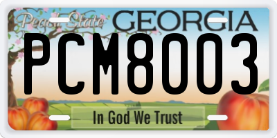 GA license plate PCM8003
